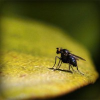 /album/www-tareas-com/photolia-a07-jpg/